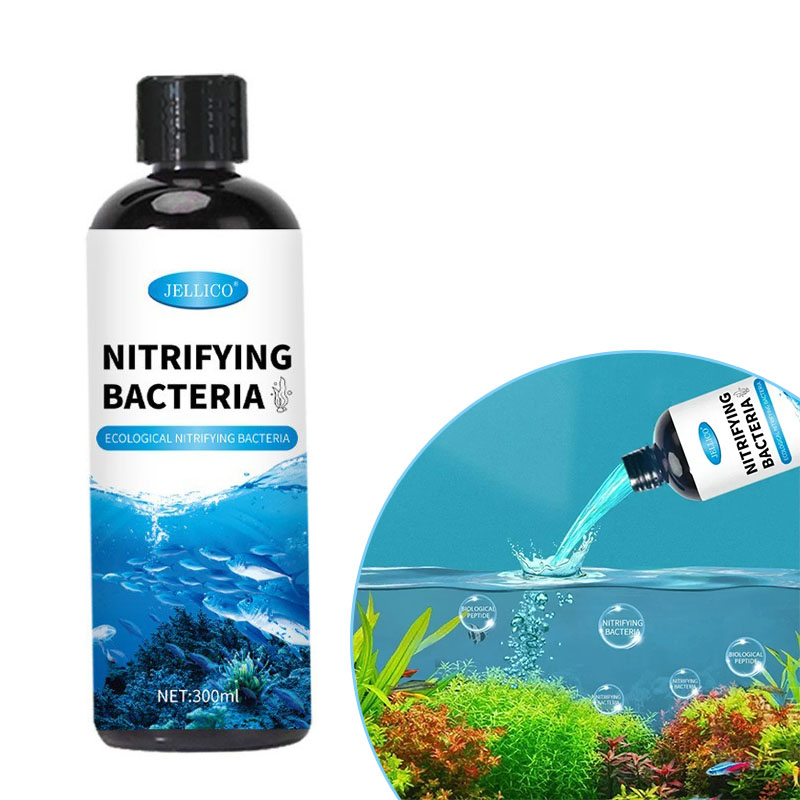 Ocean Aquarium - Batteri nitrificanti Depuratore d'acqua liquido per