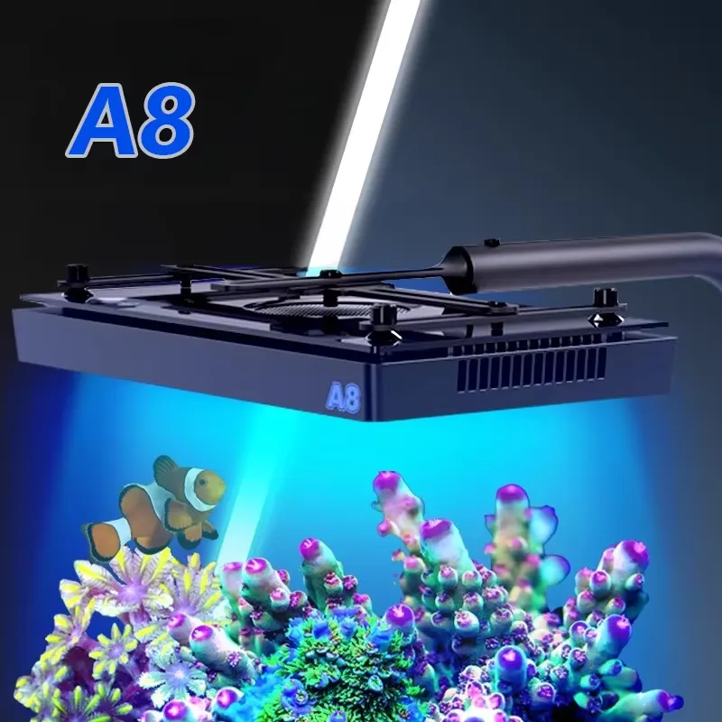 Marine Coral - A8SE II Max Blue 240W Luce