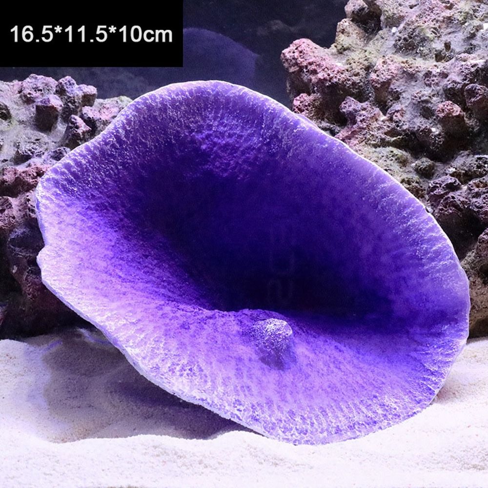 Modello di corallo artificiale - Marine Coral recensione e prezzo
