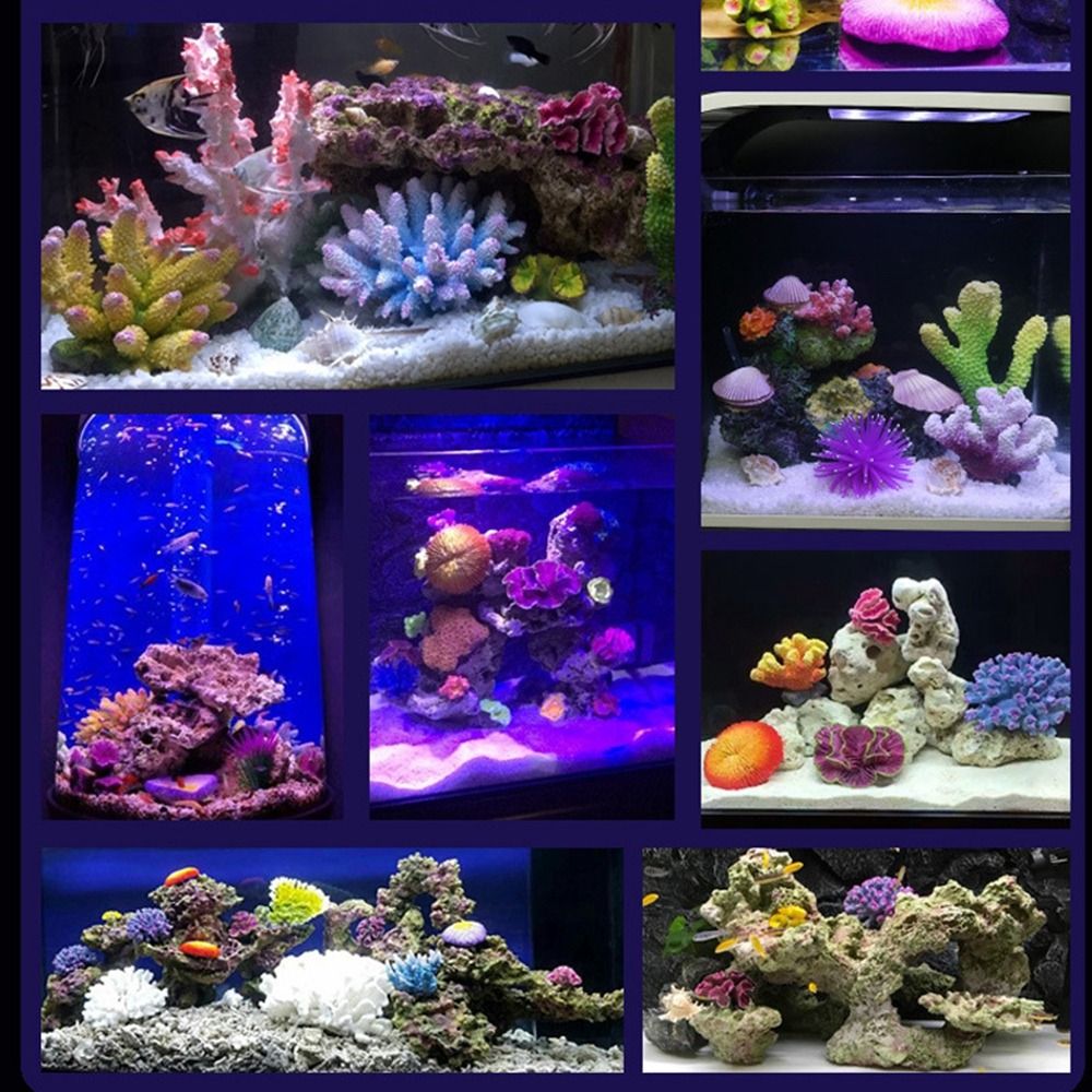 Modello di corallo artificiale - Marine Coral recensione e prezzo