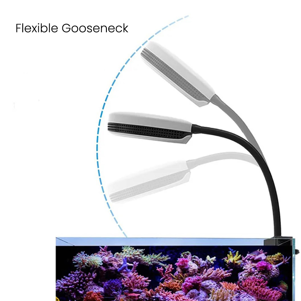 Lampada LED per Acquario Spect - Marine Coral recensione e prezzo