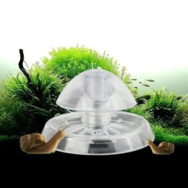Nuova Trappola per Lumache in  - Marine Aquarium recensione e prezzo