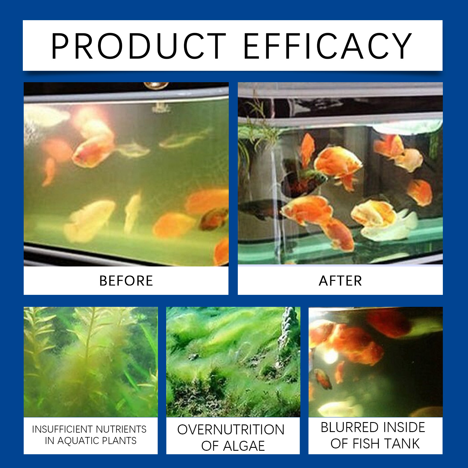 Chiarificatore d'acqua per acq - Saltwater Tank recensione e prezzo