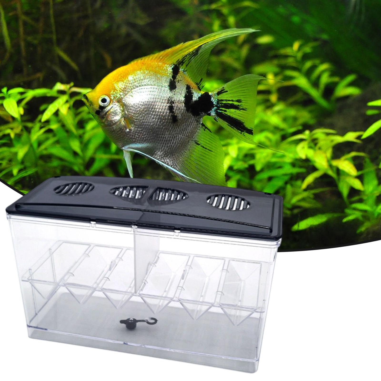 Scatola isolante galleggiante  - Reef Tank Filter recensione e prezzo