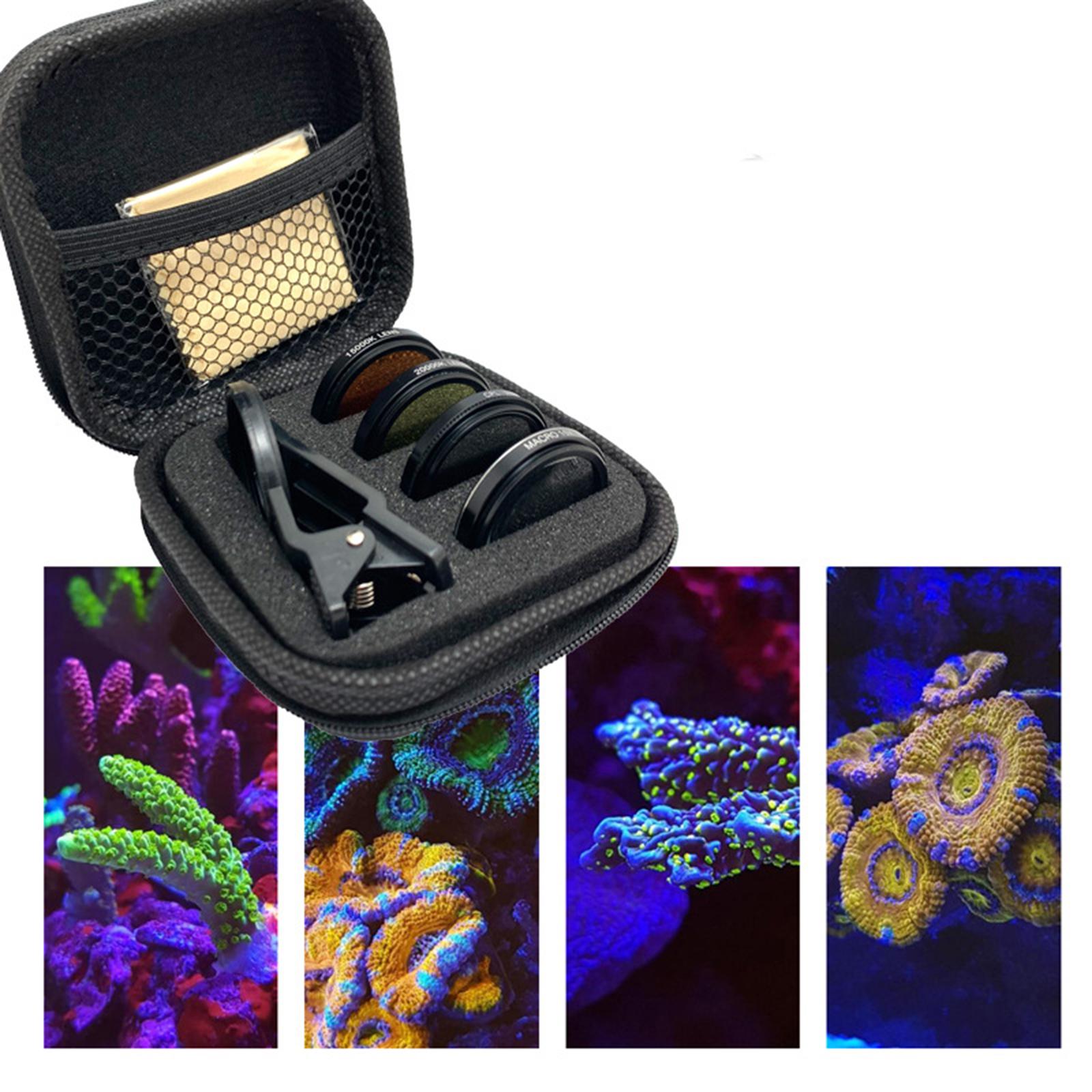 Kit Fotografico per Barriera C - Marine Aquarium recensione e prezzo