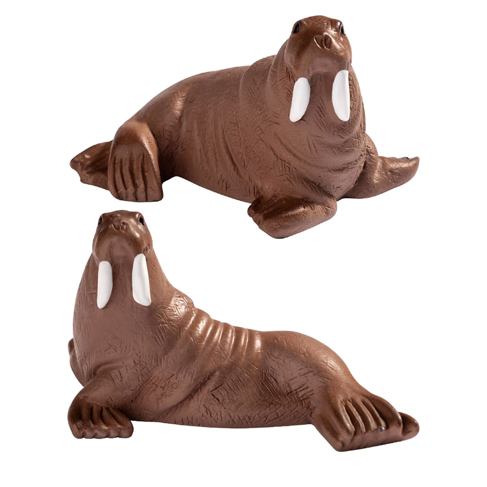 2 Pezzi di Miniature di Orso M - Marine Aquarium recensione e prezzo