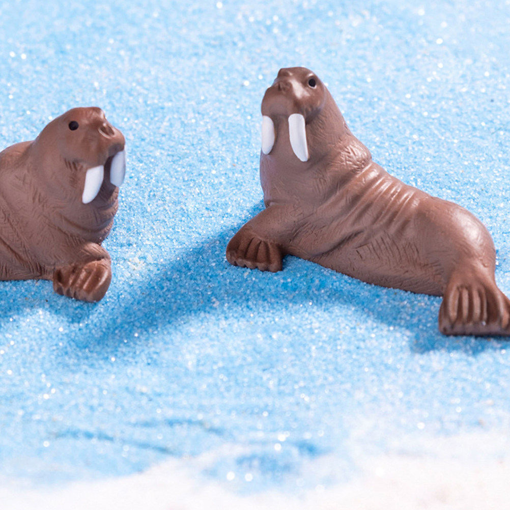 2 Pezzi di Miniature di Orso M - Marine Aquarium recensione e prezzo