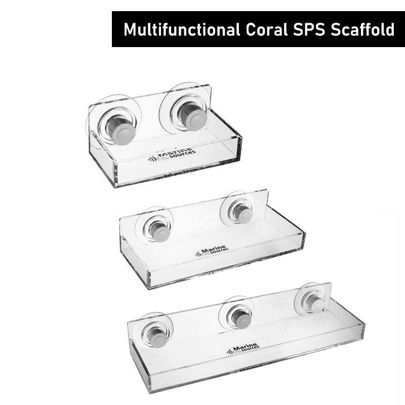 Fonti Marine impalcatura multi - Marine Coral recensione e prezzo