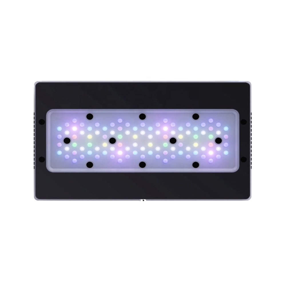 Lampada LED A8SE II Max e Blue - Marine Coral recensione e prezzo