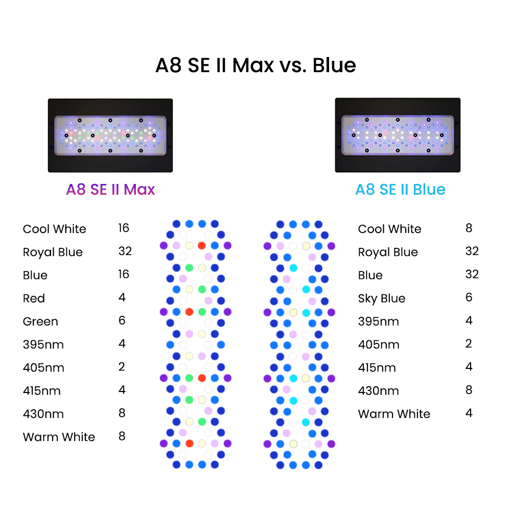 Lampada LED A8SE II Max e Blue - Marine Coral recensione e prezzo
