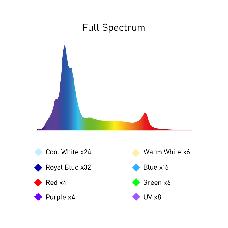 Lampada LED A8SE II Max e Blue - Marine Coral recensione e prezzo