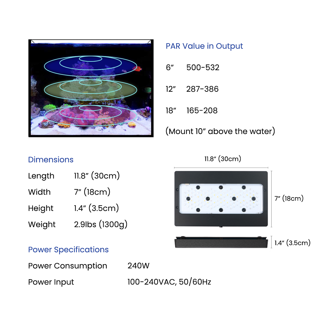 Lampada LED A8SE II Max e Blue - Marine Coral recensione e prezzo