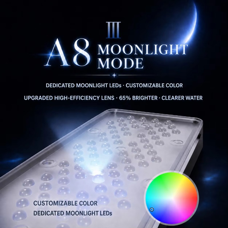 AIPAI Serie A8 III A8SE/A8 Pro - Marine Coral recensione e prezzo