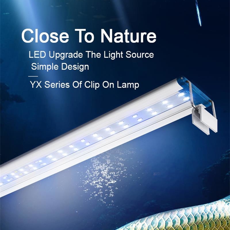 Clip impermeabile estensibile  - Aquarium Marine Lights recensione e prezzo