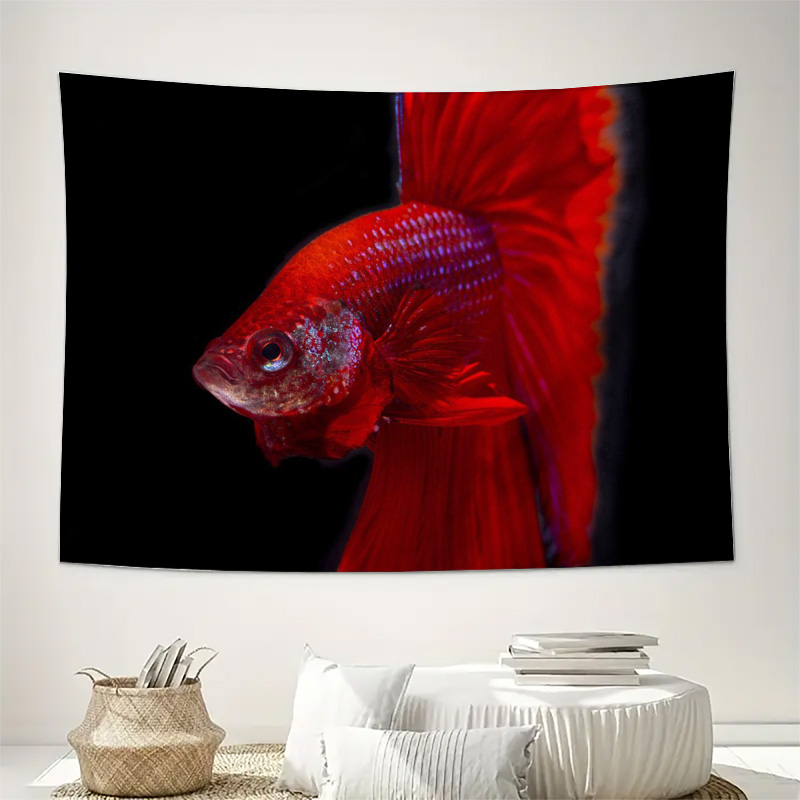 Tapestry con Pesci Betta Rossi - Ocean Aquarium recensione e prezzo